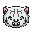 BabyWhiteTiger