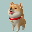 Indian Shiba Inu