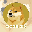 DOGE 2.0