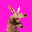 Aardvark