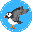 Puffin Global