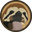 Slothcoin