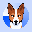 Basenji