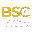 BSCView