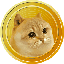 Catge coin (CATGE)