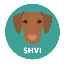 Hungarian Vizsla Inu (HVI)