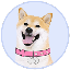 DogeGF (DOGEGF)