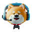 GAMINGDOGE (GAMINGDOGE)