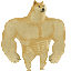 Swole Doge (SWOLE)