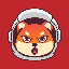 SpaceSHIB (SPACESHIB)