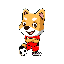 SoccerInu (SOCCER)