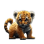 BabyBNBTiger (BABYBNBTIGER)