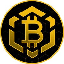 Bitcoin BSC (BTCBSC)