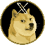 XDOGE (XDOGE)