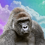 Harambe on Solana (HARAMBE)