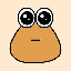 Pou (POU)