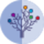 BTC Network Demand Set II (BYTE)