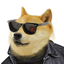 DOGEFI (DOGEFI)